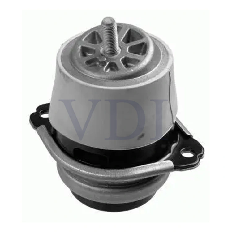 Variklio laikiklis 7P6199131